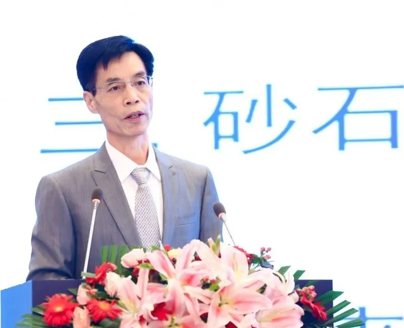 主旨報(bào)告 | 胡幼奕以國際化視角，提出固廢綜合利用和生態(tài)環(huán)境修復(fù)新思路